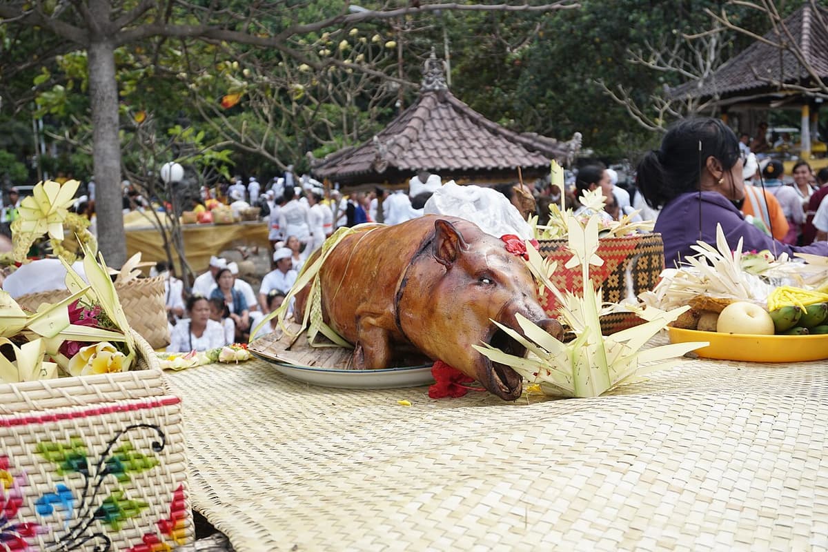 Un babi guling entier, le cochon rôti à la broche balinais, présenté lors d’une cérémonie